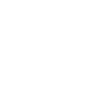 Weißes Icon einer Steinmauer, auf der eine Maurerkelle liegt.