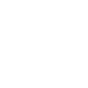 Weißes Icon eines Dokuments mit einem großen Fragezeichen, daneben ein Balkendiagramm mit drei ansteigenden Säulen.